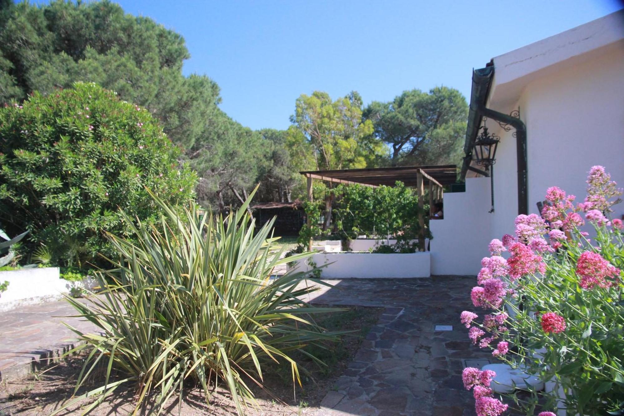 Azienda Agricola Sapereta Porto Azzurro Eksteriør bilde